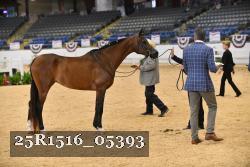 25R1516_05393 thumbnail