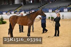 25R1516_05394 thumbnail
