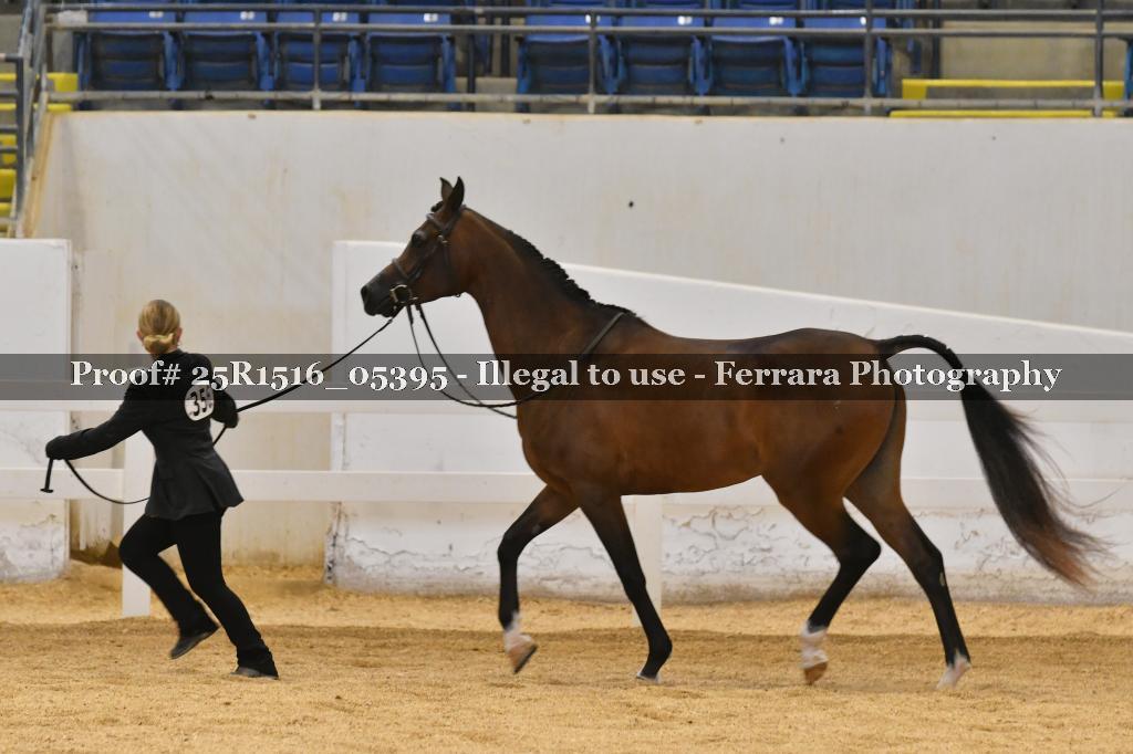 Proof Number 25R1516_05395