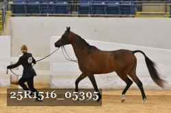25R1516_05395 thumbnail
