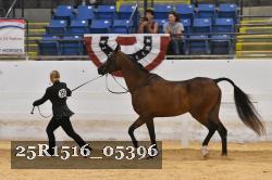 25R1516_05396 thumbnail
