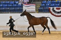 25R1516_05397 thumbnail