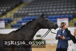 25R1516_05398 thumbnail