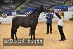 25R1516_05399 thumbnail