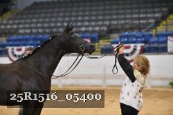 25R1516_05400 thumbnail