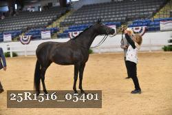 25R1516_05401 thumbnail