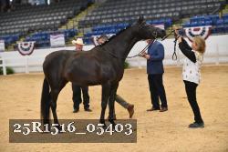 25R1516_05403 thumbnail