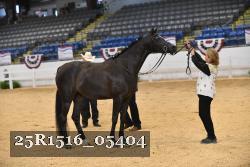 25R1516_05404 thumbnail
