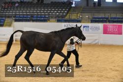 25R1516_05405 thumbnail
