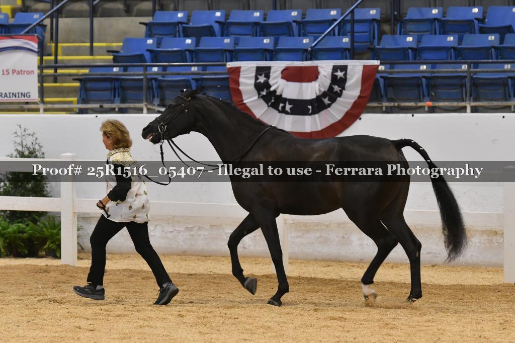 Proof Number 25R1516_05407