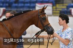 25R1516_05408 thumbnail
