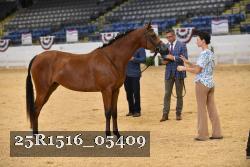 25R1516_05409 thumbnail