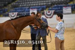 25R1516_05410 thumbnail