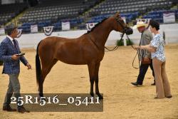 25R1516_05411 thumbnail