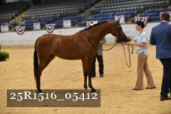 25R1516_05412 thumbnail