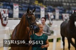 25R1516_05413 thumbnail