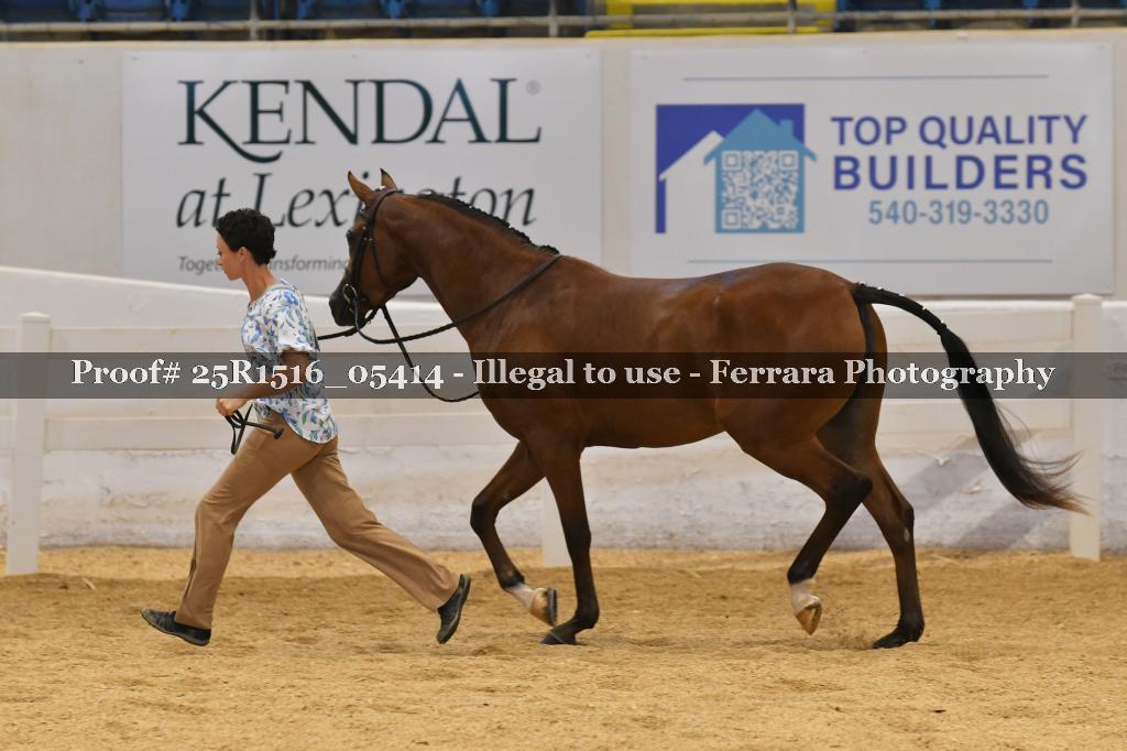 Proof Number 25R1516_05414