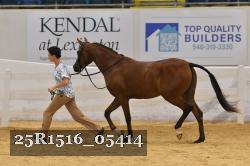 25R1516_05414 thumbnail
