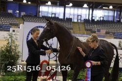 25R1516_05426 thumbnail