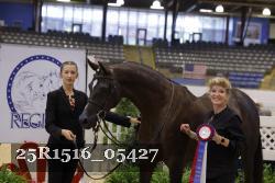 25R1516_05427 thumbnail