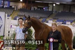 25R1516_05431 thumbnail