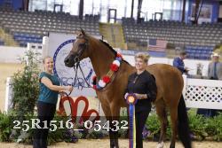 25R1516_05432 thumbnail