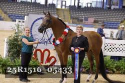 25R1516_05433 thumbnail