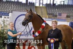 25R1516_05434 thumbnail