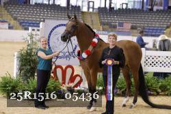 25R1516_05436 thumbnail