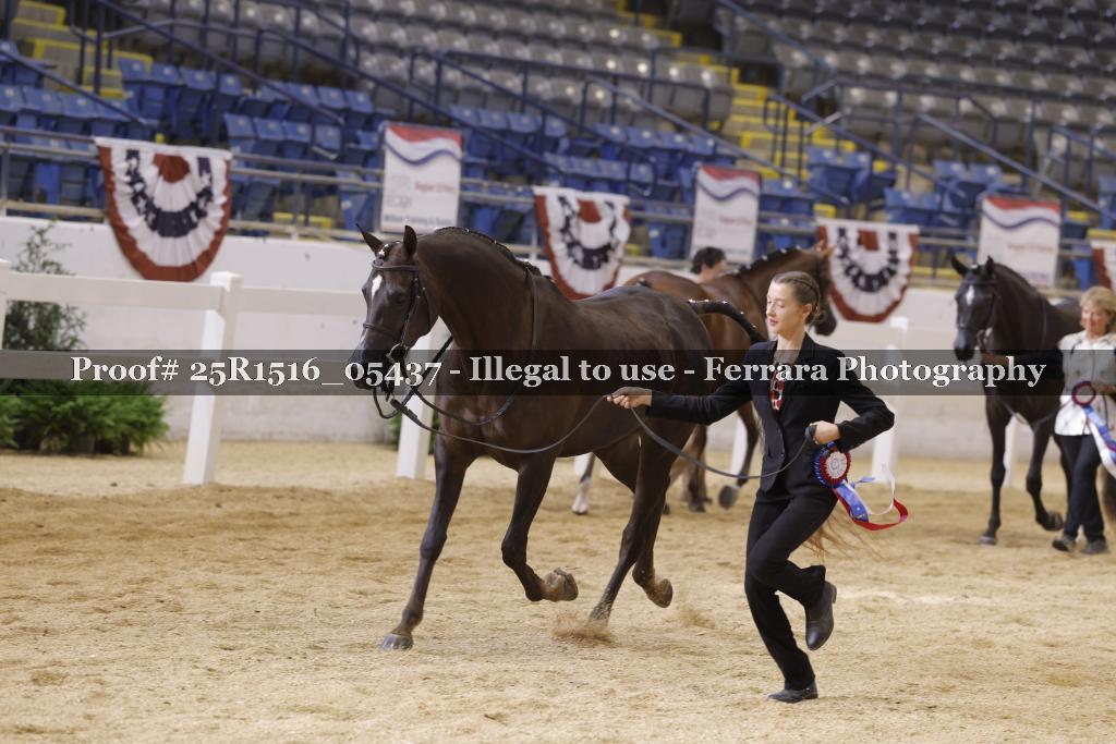 Proof Number 25R1516_05437