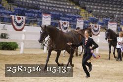 25R1516_05437 thumbnail