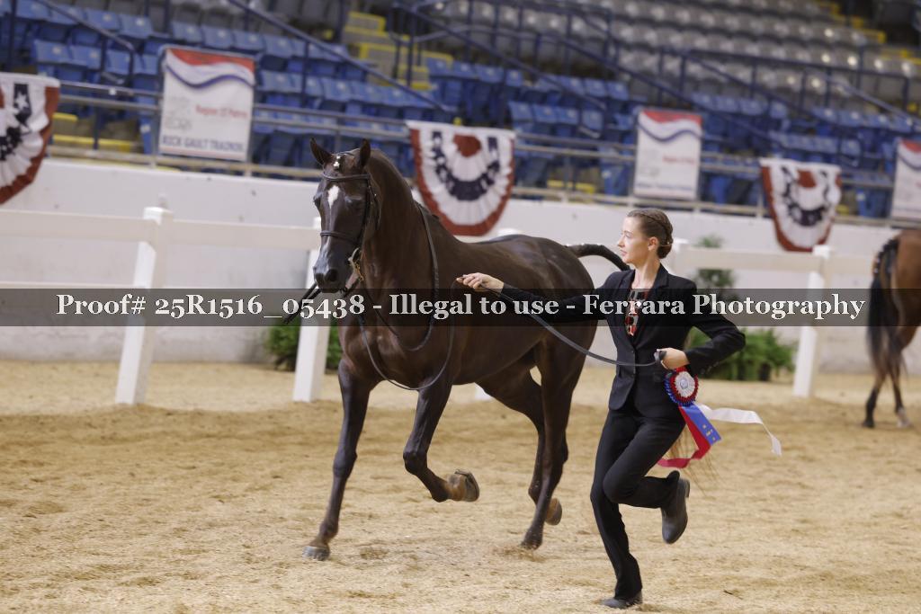 Proof Number 25R1516_05438
