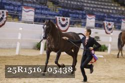 25R1516_05438 thumbnail