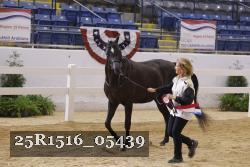 25R1516_05439 thumbnail
