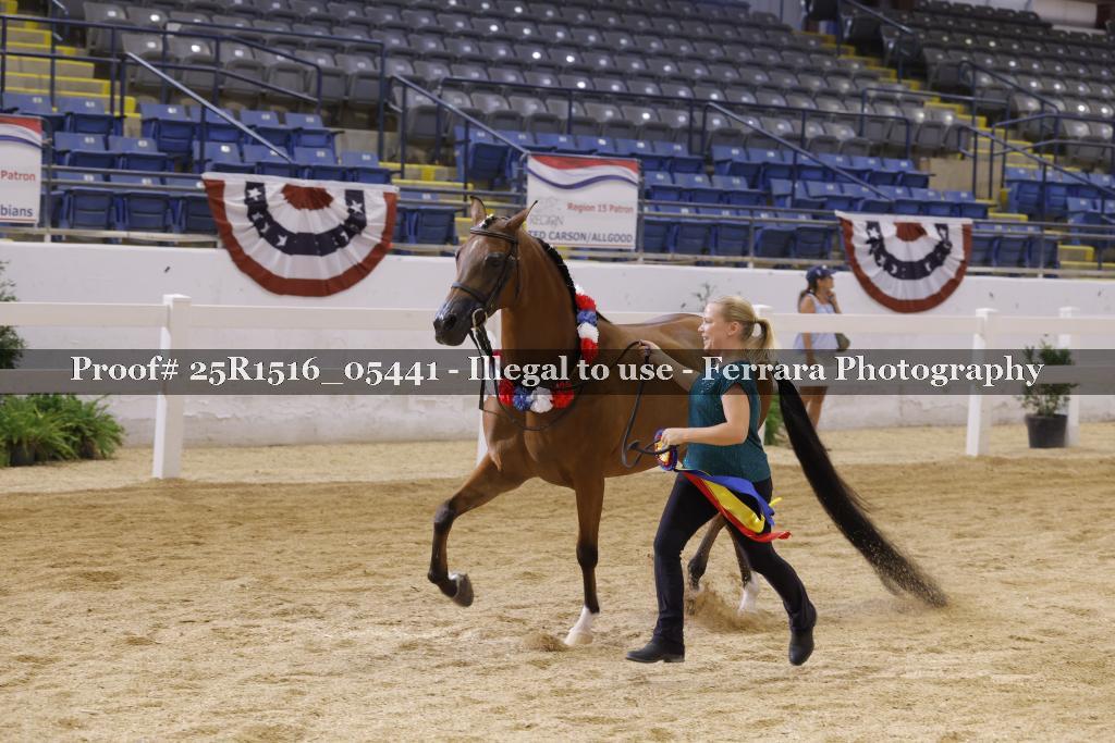 Proof Number 25R1516_05441