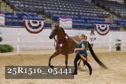 25R1516_05441 thumbnail