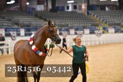 25R1516_05442 thumbnail