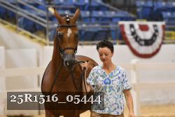 25R1516_05444 thumbnail