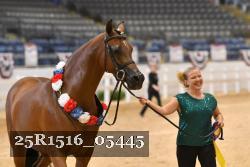 25R1516_05445 thumbnail