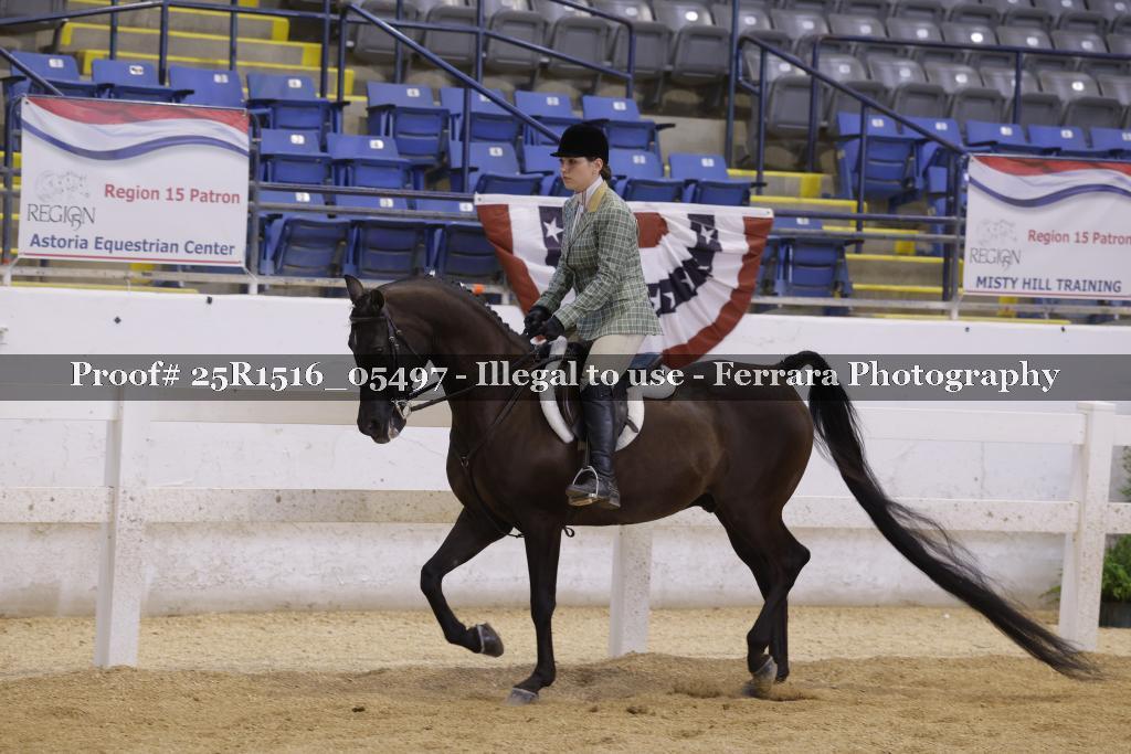 Proof Number 25R1516_05497