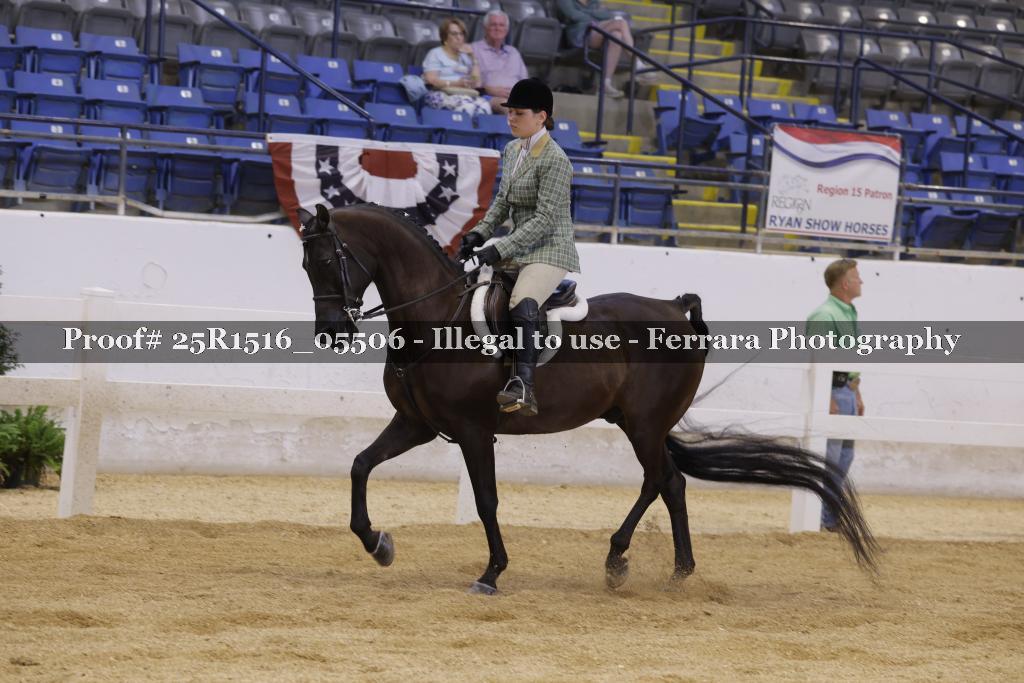 Proof Number 25R1516_05506
