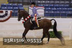 25R1516_05535 thumbnail