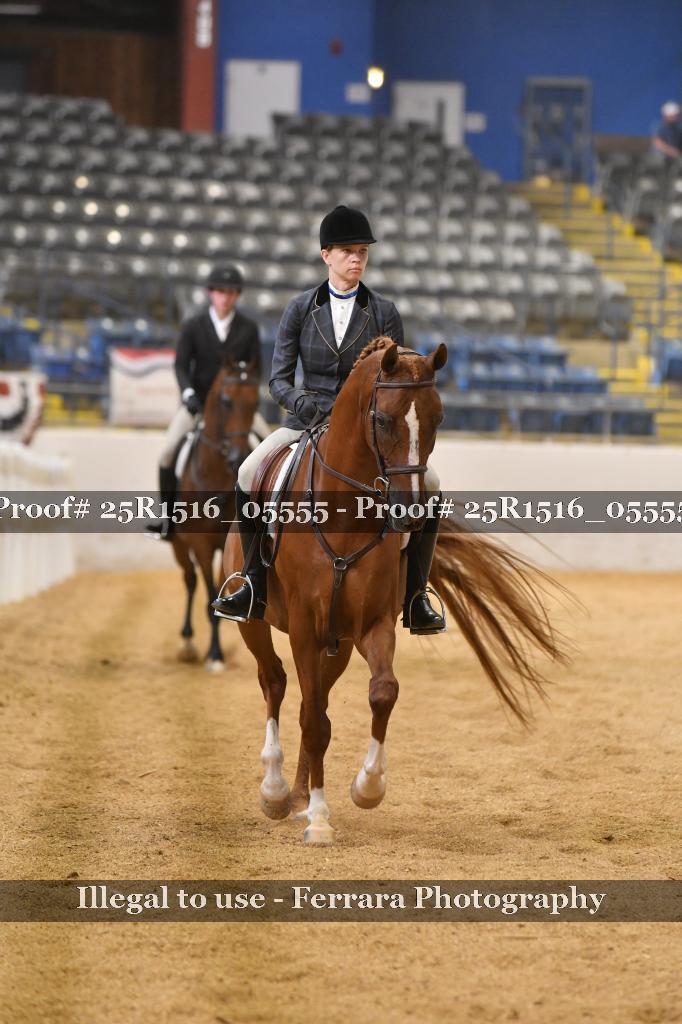 Proof Number 25R1516_05555