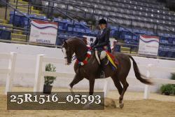 25R1516_05593 thumbnail