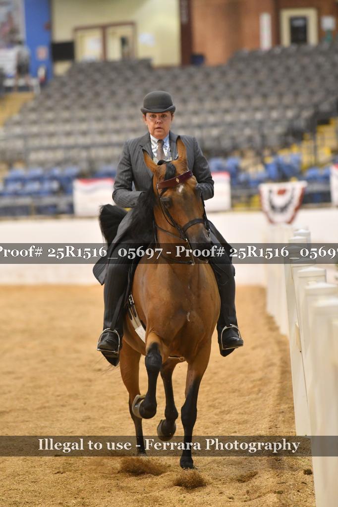 Proof Number 25R1516_05697