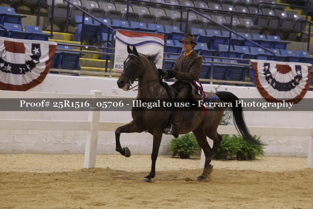 Proof Number 25R1516_05706