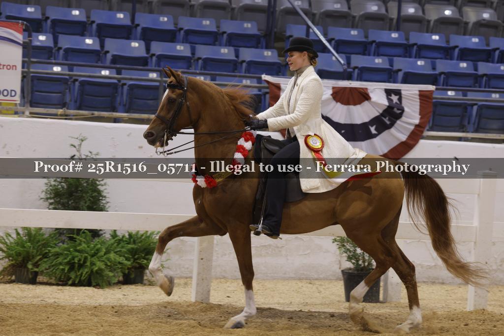 Proof Number 25R1516_05711