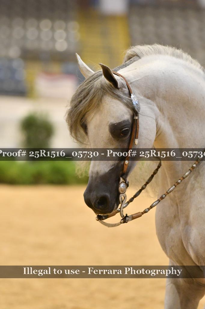 Proof Number 25R1516_05730