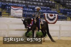 25R1516_05765 thumbnail