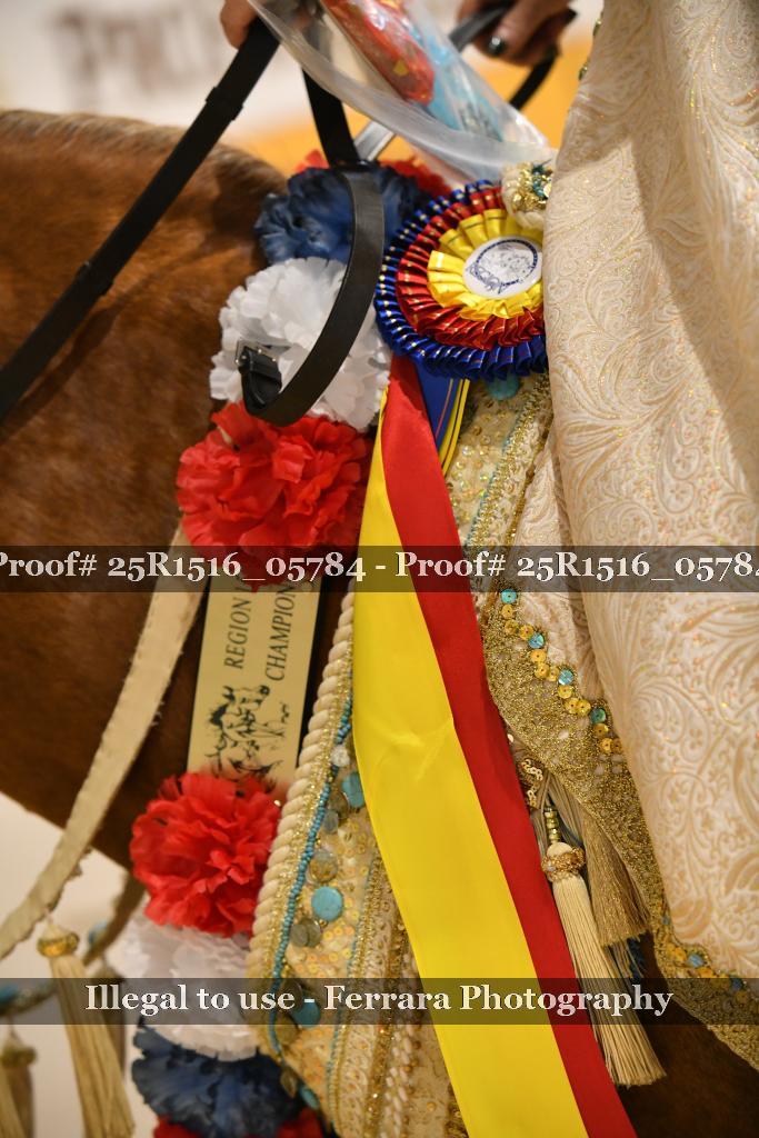 Proof Number 25R1516_05784